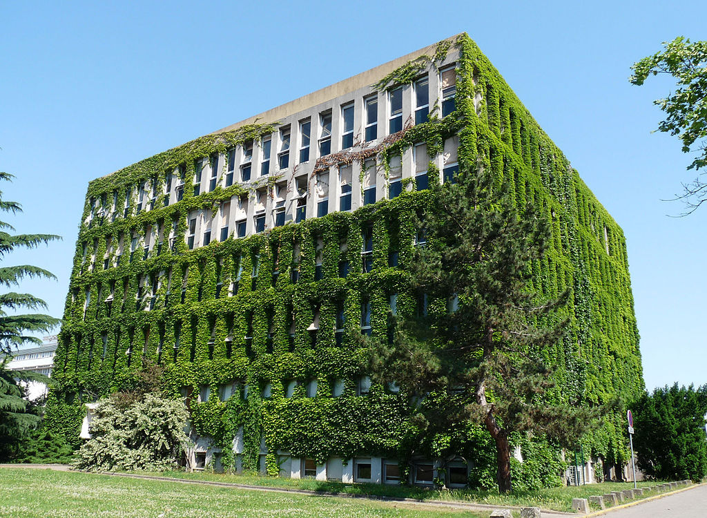 斯特拉斯堡大学